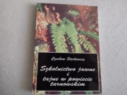 Szkolnictwo jawne i tajne w powiecie tarnowskim 1939 1945 Sterkowicz Tarnów