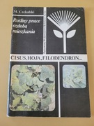 Rośliny pnące ozdobą mieszkania Cisus, Hoja, Filodendron M. Czekalski