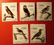 Ptaki. Kuba 1971 r 