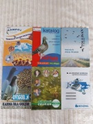 Gołębie pocztowe- Broszurki,katalogi PZHGP 