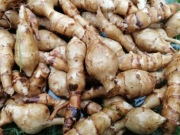 TOPINAMBUR EXTRA DUŻY KALIBROWANY, KONSUMPCJA 1KG 