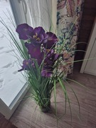 W doniczce sztuczny irys wysoki z Home & you