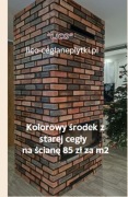 Płytki ścienne ze starej  cegły  o różnych  odcieniach 