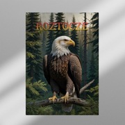 Magnes na lodówkę Roztocze Orzeł