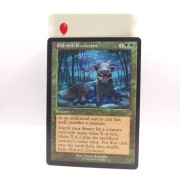 Magic the gathering - Eldritch Evolution - MTG 