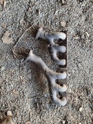 Kolektory wydechowe bmw e46 m52 m54