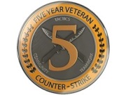 5 letni weteran | bez prime | konto cs2 | Szybka dostawa |