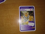 Najgroźniejsze Tygrys Bengalski nr 52 Super Zwierzaki Biedronka