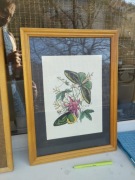 Piękna stara grafika, liście, kwiaty i motyle 