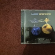 Les bigos G.D.Y.N.I.A