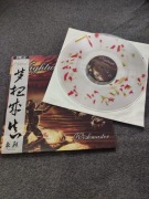 Nightwish Wischmastr 