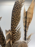 Pióra #507 bażantów 10 sztuk