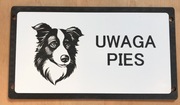 Uwaga zły pies tabliczki