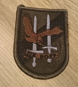 Naszywka kompanii rozpoznawczej 