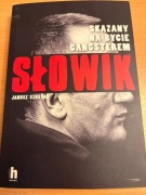 Skazany na bycie gangsterem Słowik