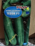 Ogórek sałatkowy "Tessa F1"
