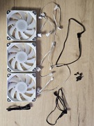 Zestaw Wentylatorów Phanteks M25 D-RGB 120mm 3-pack White