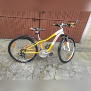 Specialized Hotrock 24"