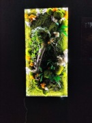 Obraz z mchu + żywy kwiat, oświetlenie LED+  pilot 