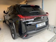 Bezwypadkowy stan pedantyczny