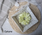 MAXI Gumka do włosów SCRUNCHIE 