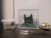 Terrarium 10x10x10h z wystrojem dla Skakuna
