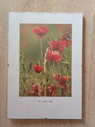 Antyrama szkło 21x29,7cm A4 bardzo dobry stan (96)