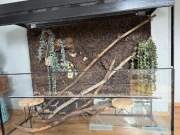 Terarium duże odbiór osobisty 