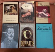 Pan Tadeusz, Wesele, Ludzie bezdomni, Dewajtis, Anielka, Pamiętniki