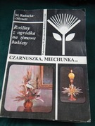 Czarnuszka  Miechunka Raducka Mynett PWRiL