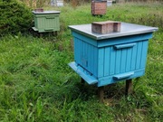 Ule dadant z pszczołami