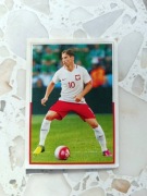 KARTA kolekcjonerska DUMNI Z NASZYCH Biedronka nr 67