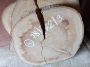 Plaster Drewna BUK 78/72/10 cm Blat Stolik Żywica DIY Wysuszony