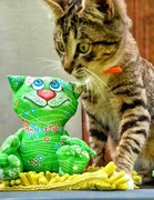 Zielony kot z niebieskimi oczami