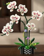 Storczyk Cymbidium z klocków 3D 736 el. | DIY kwiat w doniczce | dekoracja 