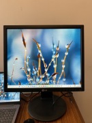 Monitor LG 19MB35PM-B+ komplet kabli 19" 1280*1024 60 HZ