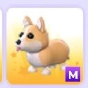 Adopt me! Corgi MEGA