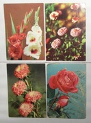 KWIATY ŻYCZENIA URODZINY NRD - NA SZTUKI