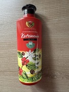 Stymulująca wcierka kofeinowa żeń-szeń Herbaria