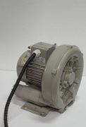 Pompa próżniowa Darang DG-300 11  0,75Kw 150mbar