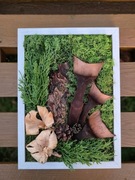 Obraz Kompozycja Mech Dekoracja Długowieczne Dom Prezent