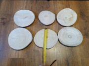 Plastry drewna 6 sztuk - ok. 16-20 cm