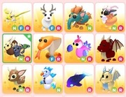 (OPIS) Zwierzaki Do Adopt Me Roblox (OPIS) CZYTAJ 