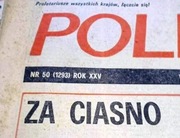 POLITYKA tygodnik 1981 numery 36-50, KARNAWAŁ SOLIDARNOŚĆ
