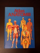 Atlas Anatomii. Enric Gil de Bernabé Ortega