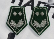 Dystynkcje Podleśniczy Strażnik Leśny