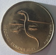 2 złote WĘGORZ EUROPEJSKI