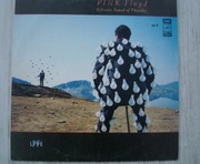 Delicate Sound Of Thunder - Pink Floyd No 1