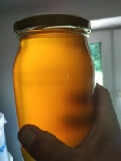 Miód z okresu  Akacji. 