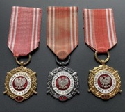 Medale Siły Zbrojne w Służbie Ojczyzny komplet LWP